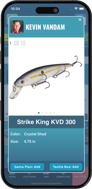 bassforce-lure-detail