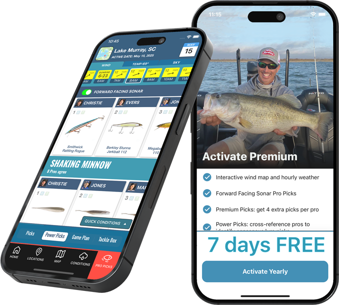 bassforce-mockup-app-hero